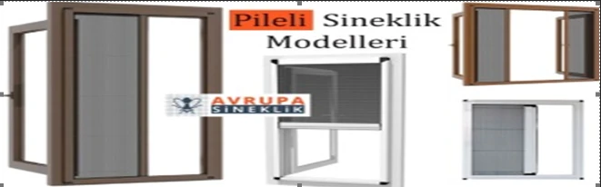 Pileli Sineklik Modelleri